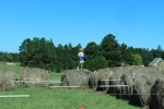 resIMG_20141004_125546_3382.JPG